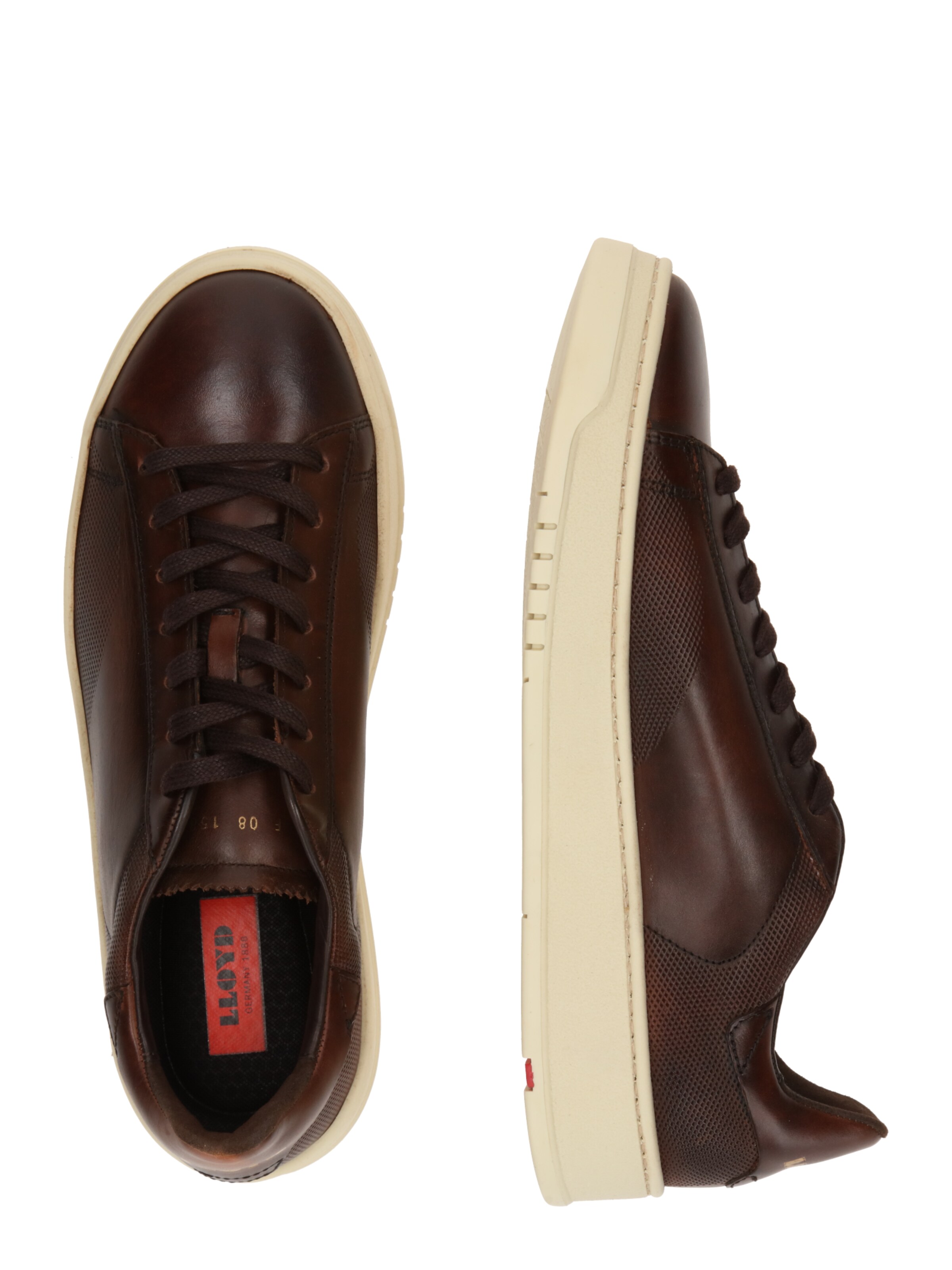 Baskets basses 'BLACKWELL' LLOYD en marron