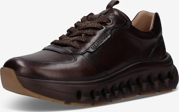 SALAMANDER Sneaker in Braun: Vorderseite