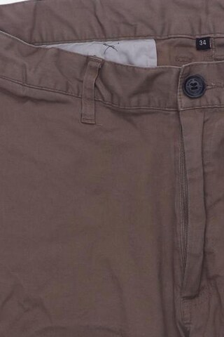 Iriedaily Shorts in 29-30 in Brown