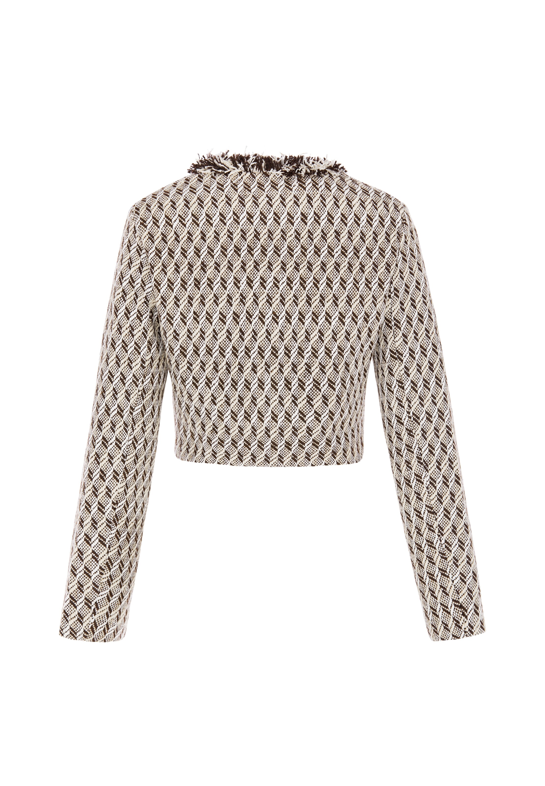 minya Blazer in Brown