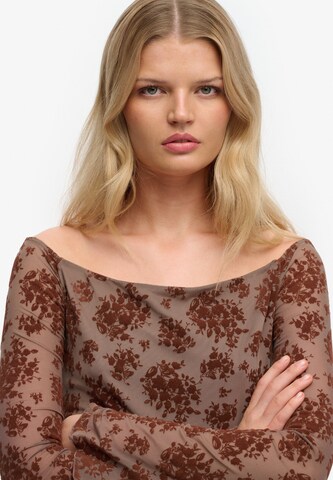 T-shirt Superdry & Co en marron