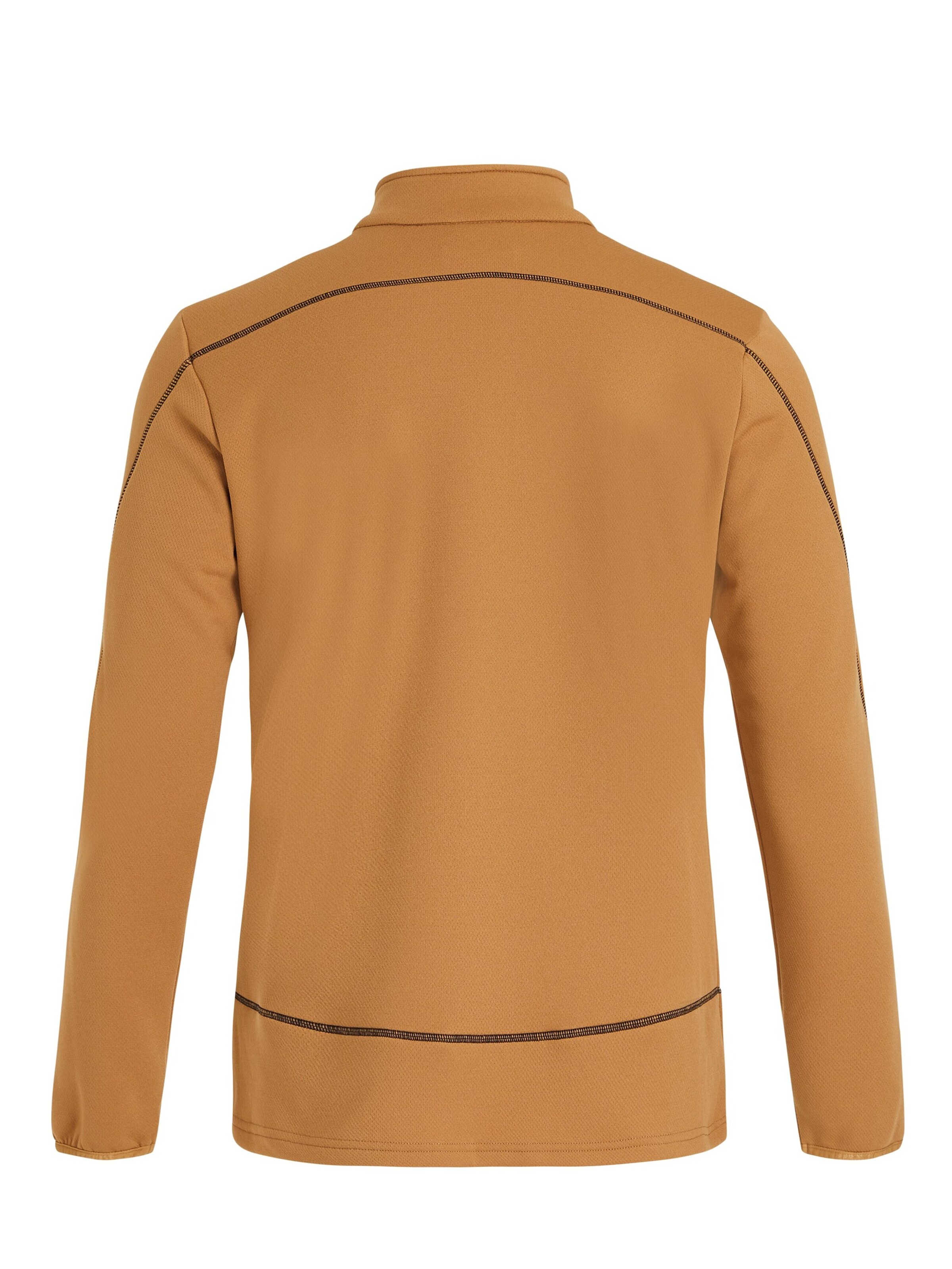 PROTEST Sportsweatshirt 'HUMANS'‌‌‌‌ in Braun