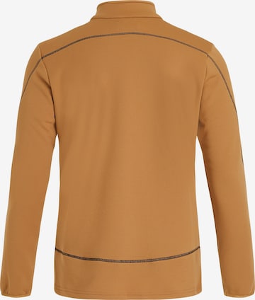 PROTEST Sportsweatshirt 'HUMANS' in Braun: Vorderseite