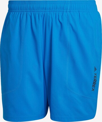 ADIDAS TERREX Outdoor Pants in Blue: front