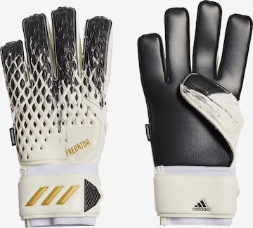 ADIDAS PERFORMANCE Handschuhe in Schwarz: predná strana