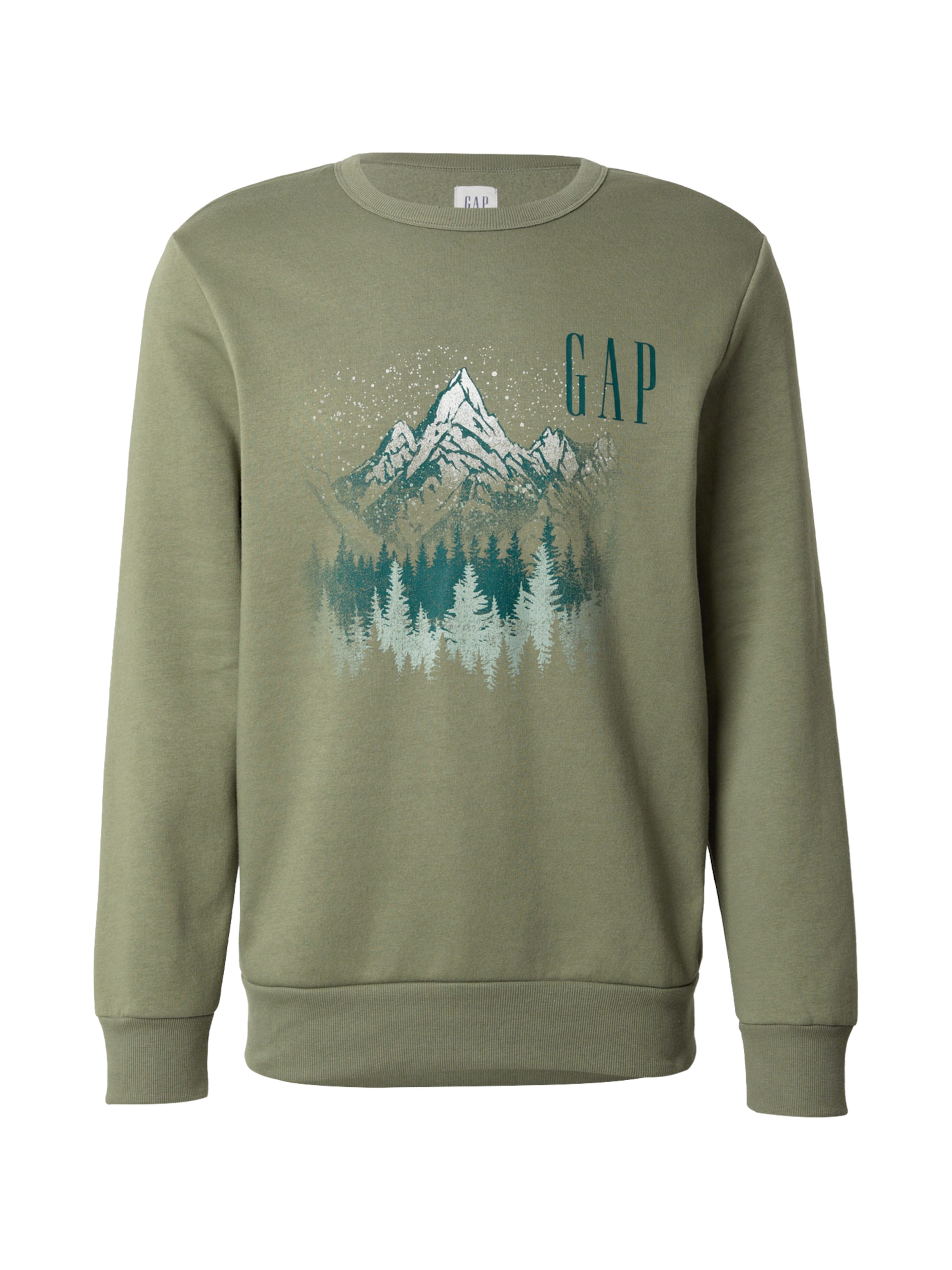 GAP - Sudadera en verde: frente