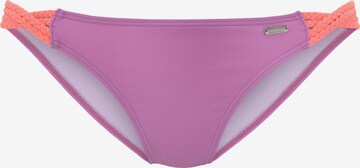 VENICE BEACH Bikiniunderdel i lila: framsida