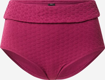 LingaDore Bikinihose in Lila: predná strana