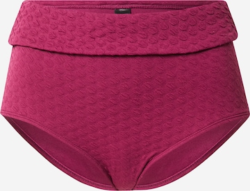 LingaDore Bikini Bottoms in Purple: front