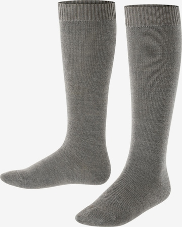 FALKE Socks 'Comfort Wool' in Grey: front