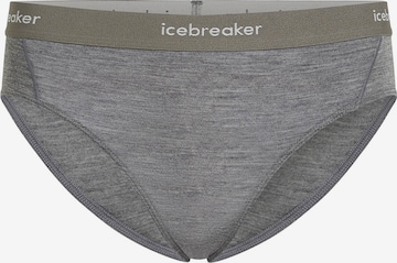 ICEBREAKER Športové nohavičky - Sivá: predná strana