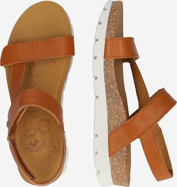 PANAMA JACK Sandals 'Selma B7' in Brown