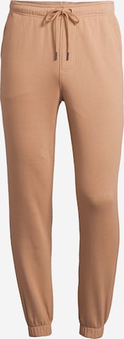 Tapered Pantaloni di AÉROPOSTALE in beige: frontale