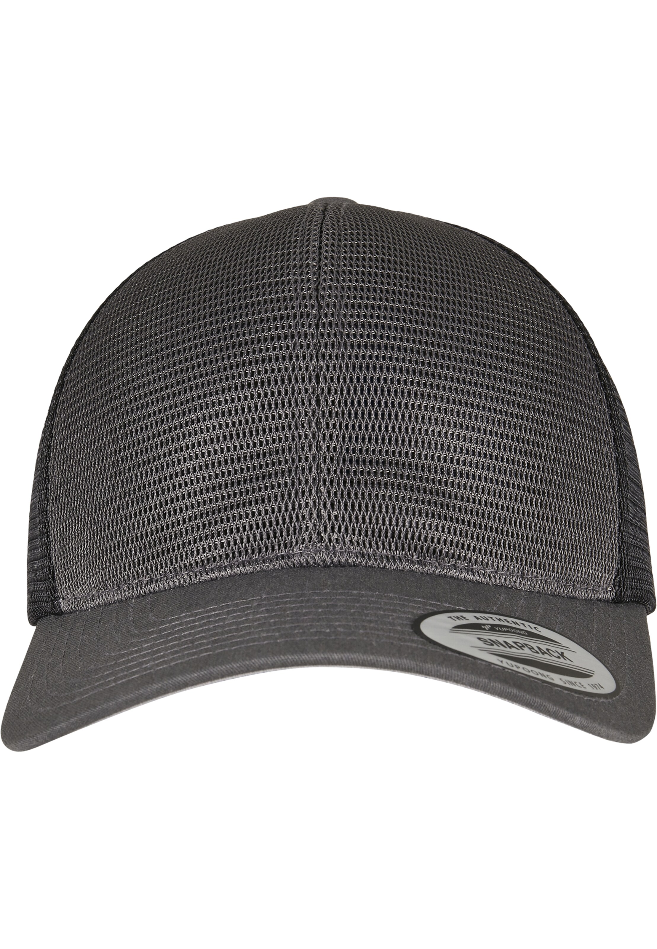 Flexfit Cap in Grey