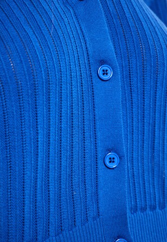 ebeeza Gebreid vest in Blauw