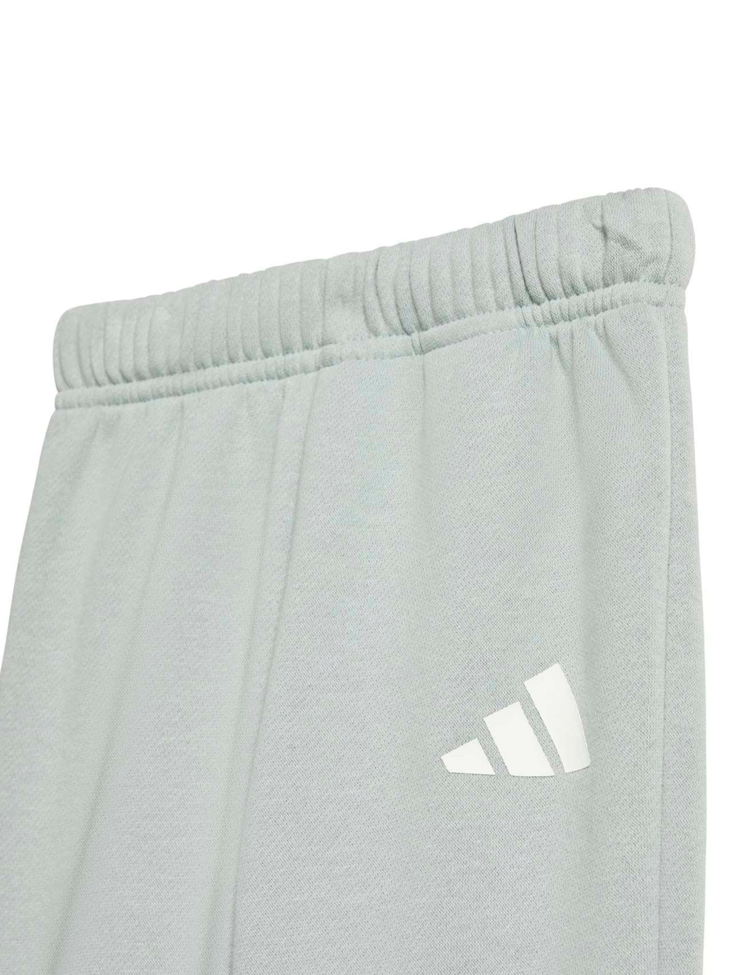 ADIDAS SPORTSWEAR Træningsdragt 'Essentials' i grøn