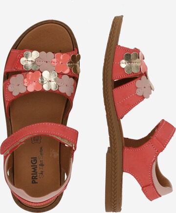 PRIMIGI Sandals in Orange