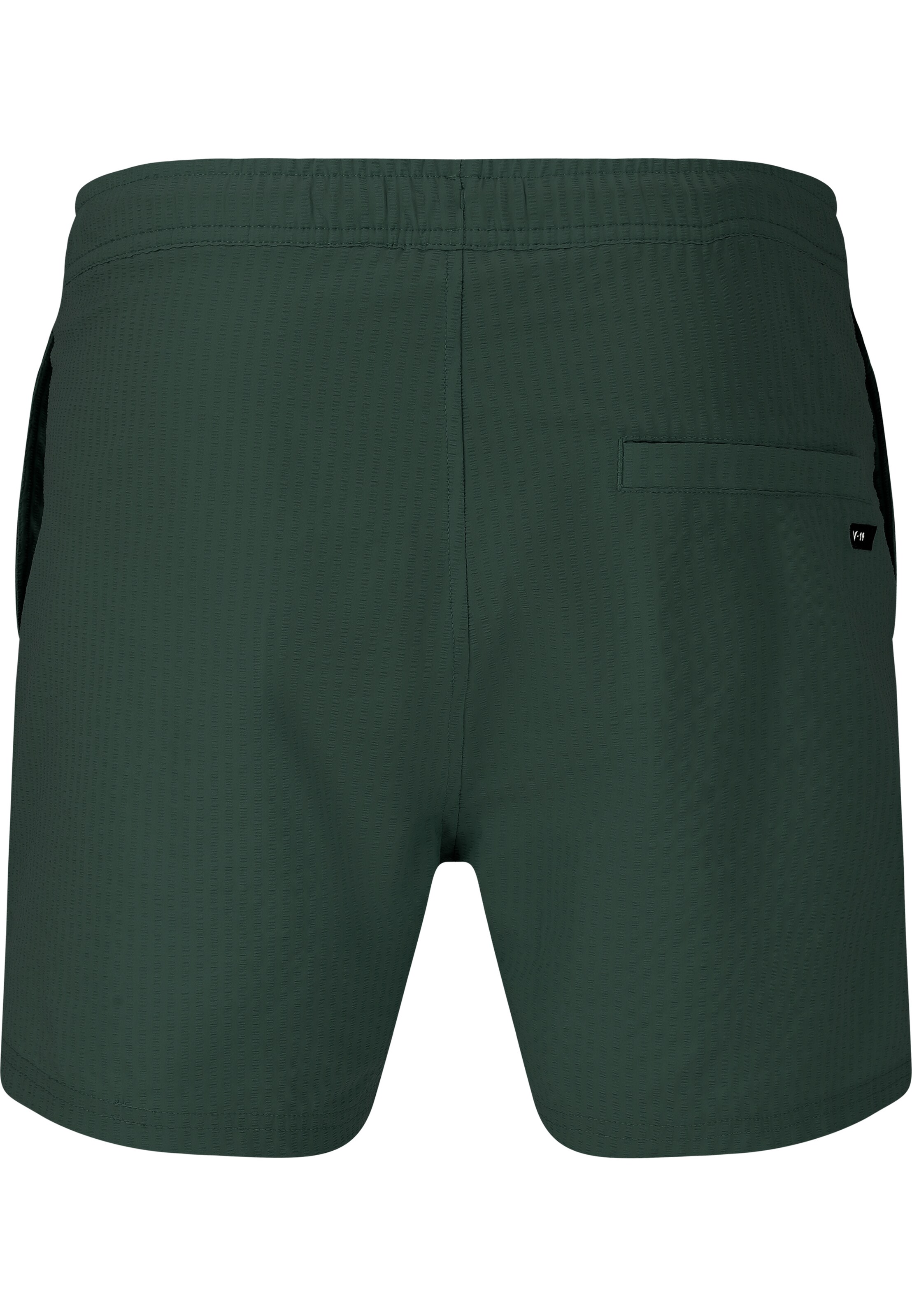 Virtus Board Shorts 'Talon' in Green