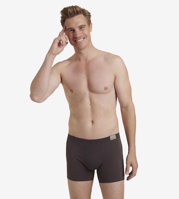 SLOGGI Boxer shorts in Brown: front