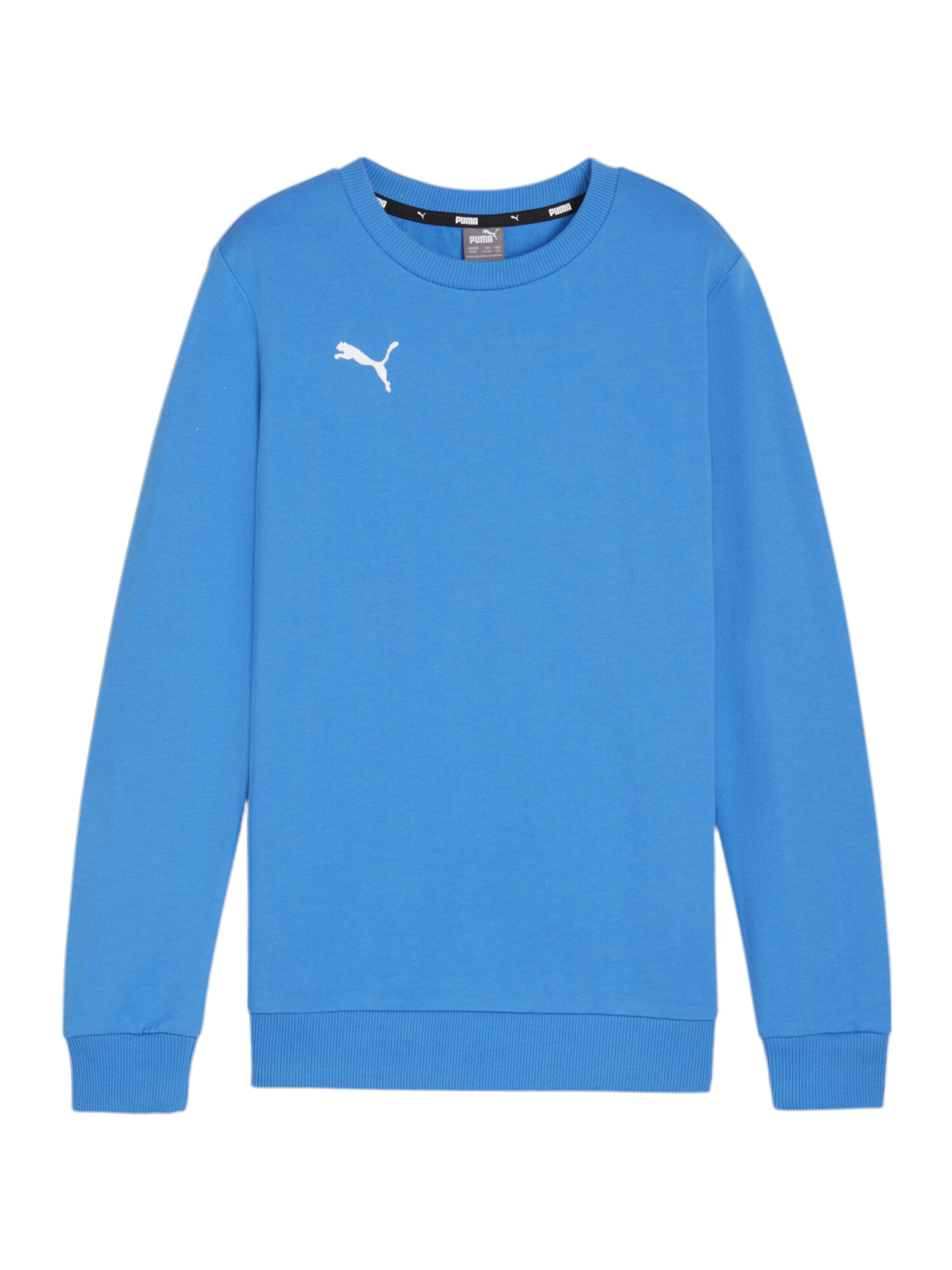 PUMA Sportsweatshirt 'GOAL' in Blau: Vorderseite
