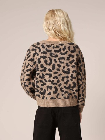 Pull-over 'Nawa' Deeluxe en marron