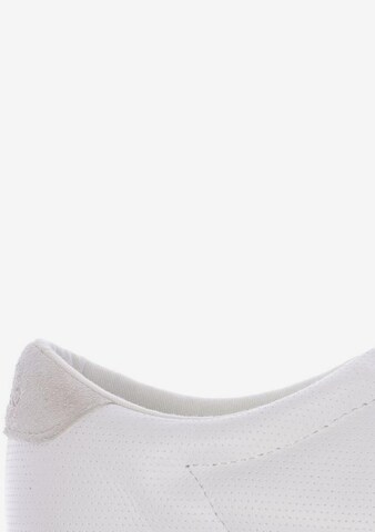 Polo Ralph Lauren Sneakers & Trainers in 43 in White