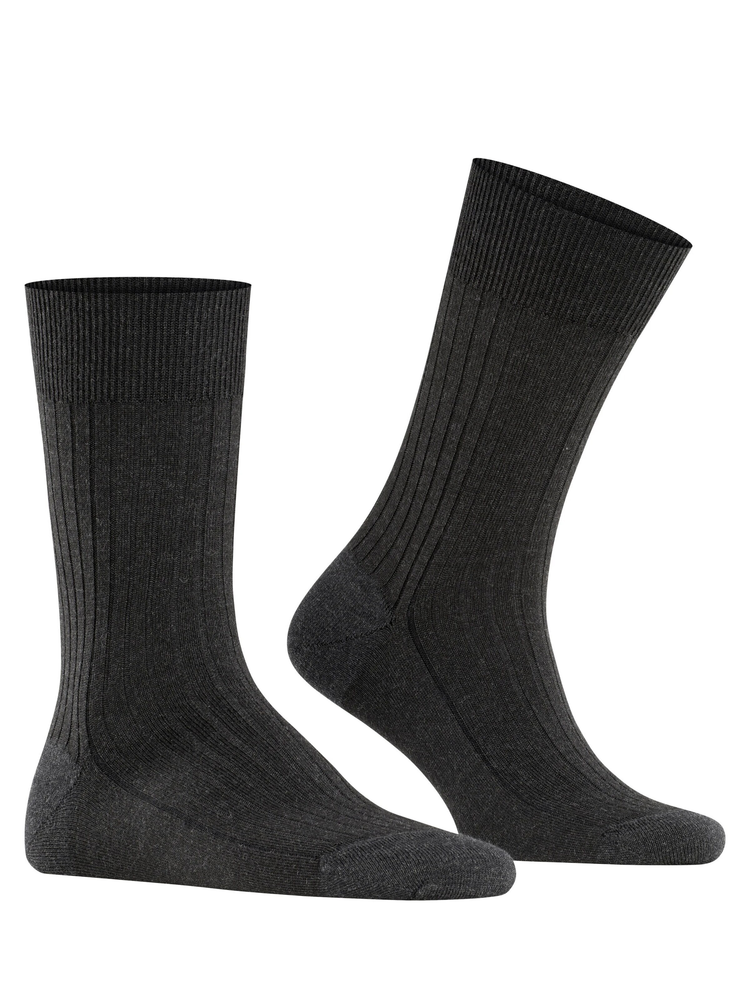 FALKE Socks 'Bristol Pure' in Grey