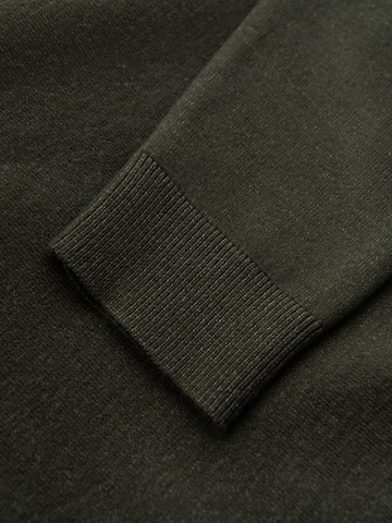 Ombre Trui 'OM-SWTN-0125' in Groen