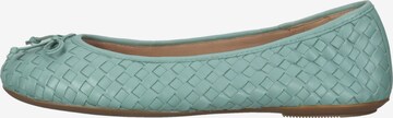 GEOX Ballet Flats in Green