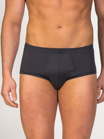 zd ZERO DEFECTS Panty 'Sepang MicroModal® Fly Front Brief' in Grey: front