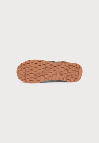 Baskets basses Colmar en marron