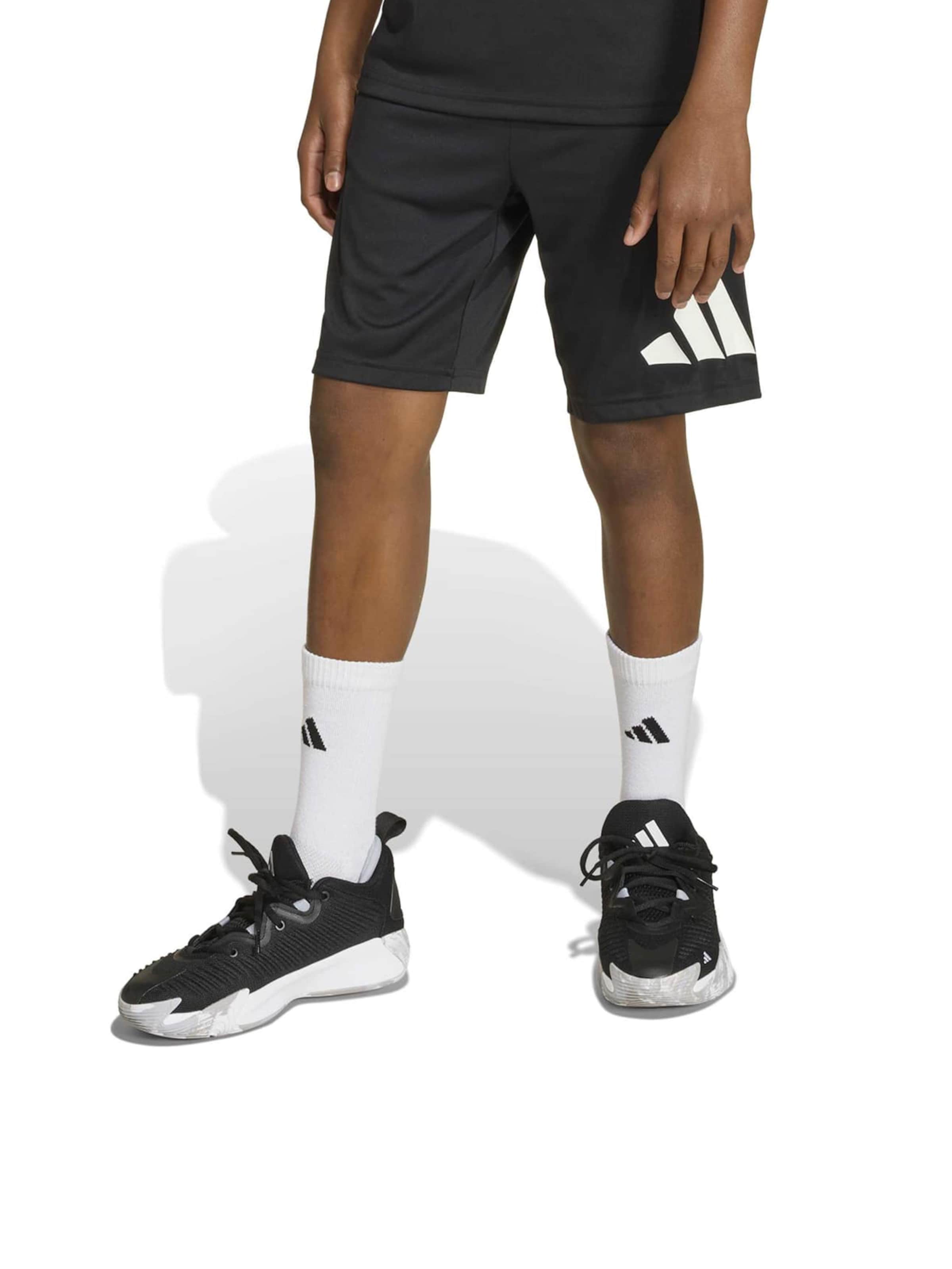 ADIDAS SPORTSWEAR - regular Pantalón deportivo 'TR-ES' en negro: frente