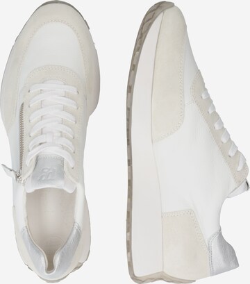 Paul Green Sneakers in White