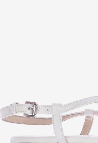 MICHAEL Michael Kors Sandals & High-Heeled Sandals in 43,5 in White