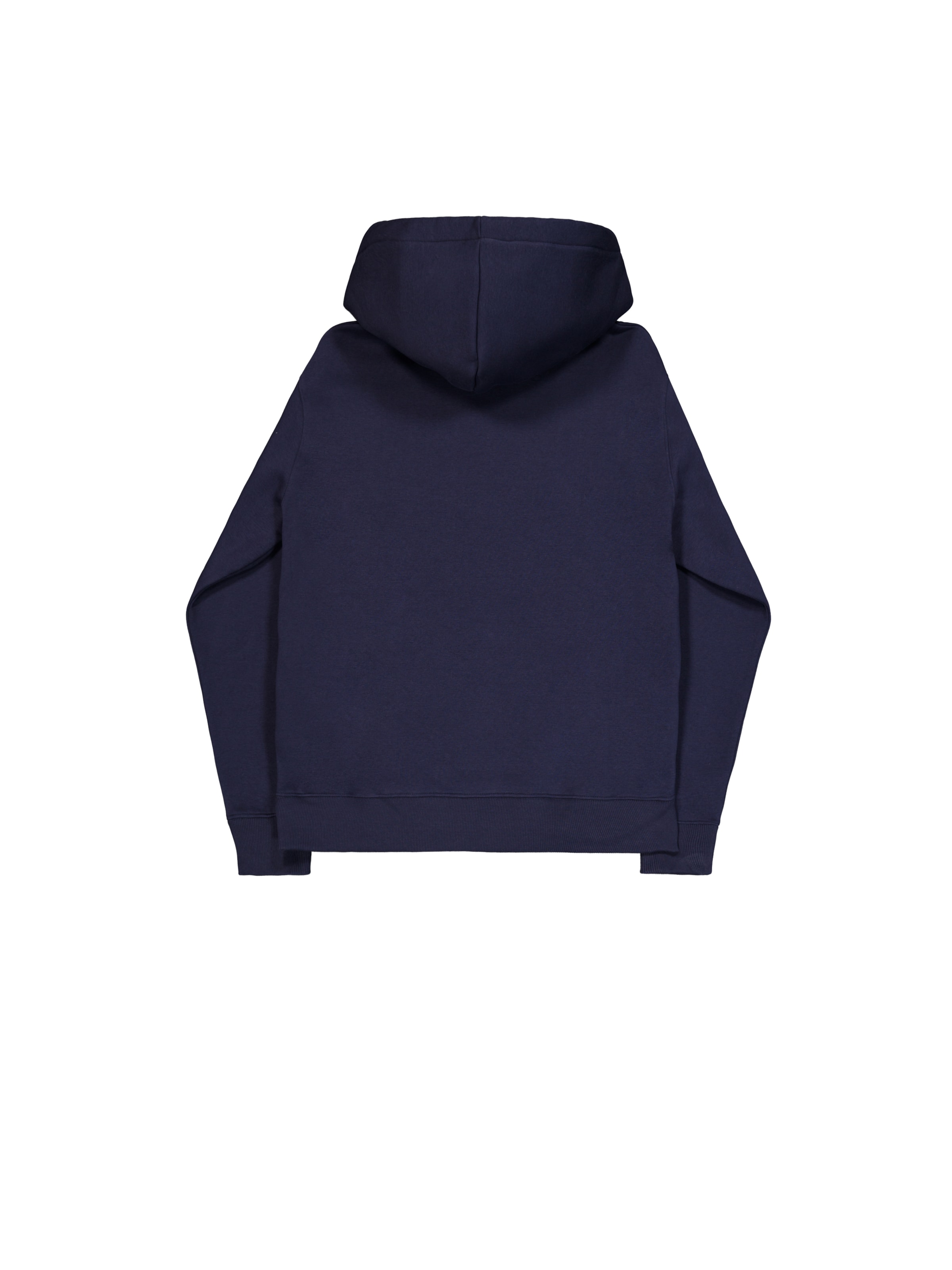 ALPHA INDUSTRIES Sweatshirt 'Dtm' in Blau: Rückseite