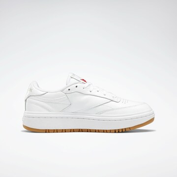 Reebok Sneakers in White