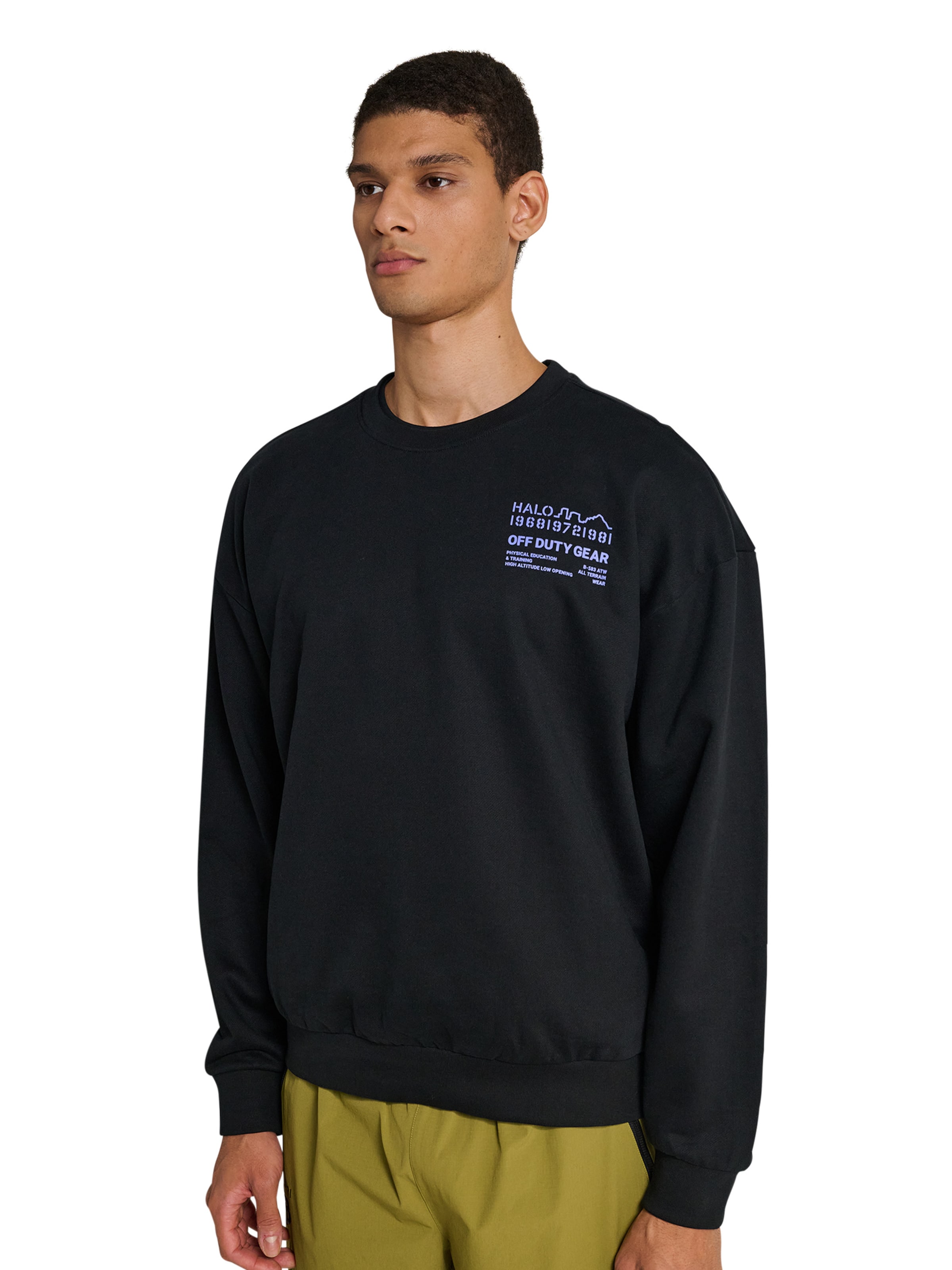 HALO Sweatshirt in Zwart