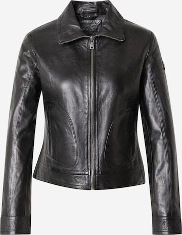 melns Mauritius Starpsezonu jaka 'Lusan': no priekšpuses