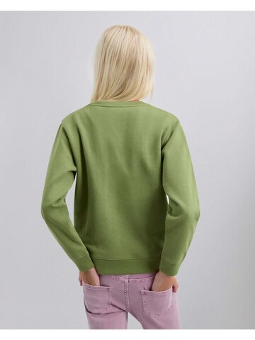 Scalpers Sweatshirt 'Zebraskullsw' in Green