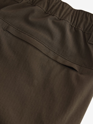 regular Pantaloni di Next in marrone