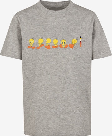 F4NT4STIC T-Shirt 'Looney Tunes Tweety Pie Colour Code' in Grau: predná strana