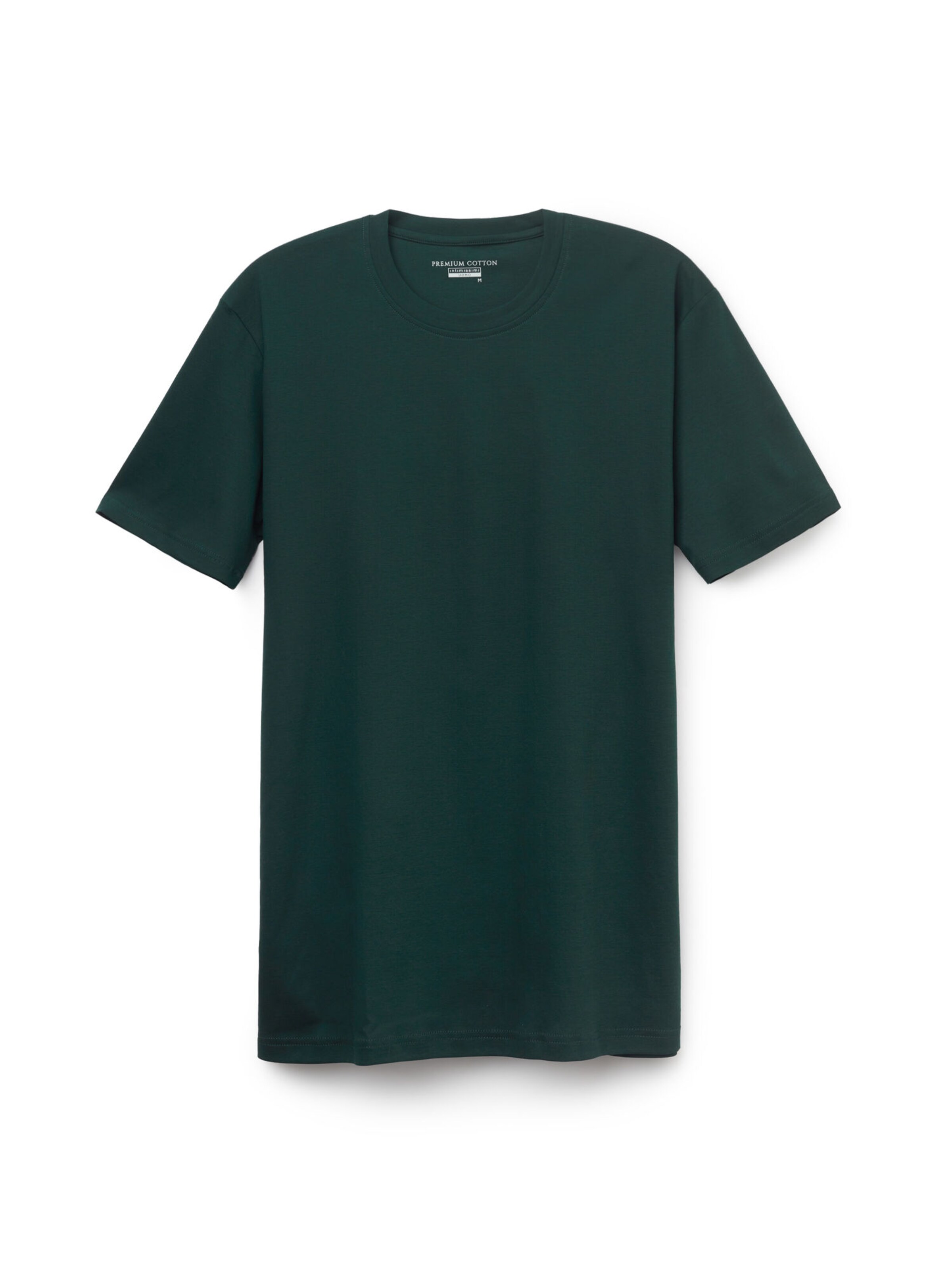 IUMAN Intimissimi Uomo Shirt 'Premium' in Green: front