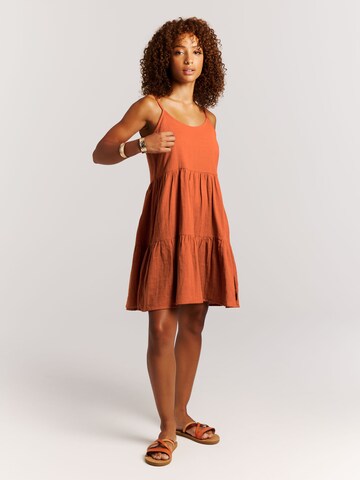 PROTEST Kleid 'PRTMendes'‌‌‌ in Braun