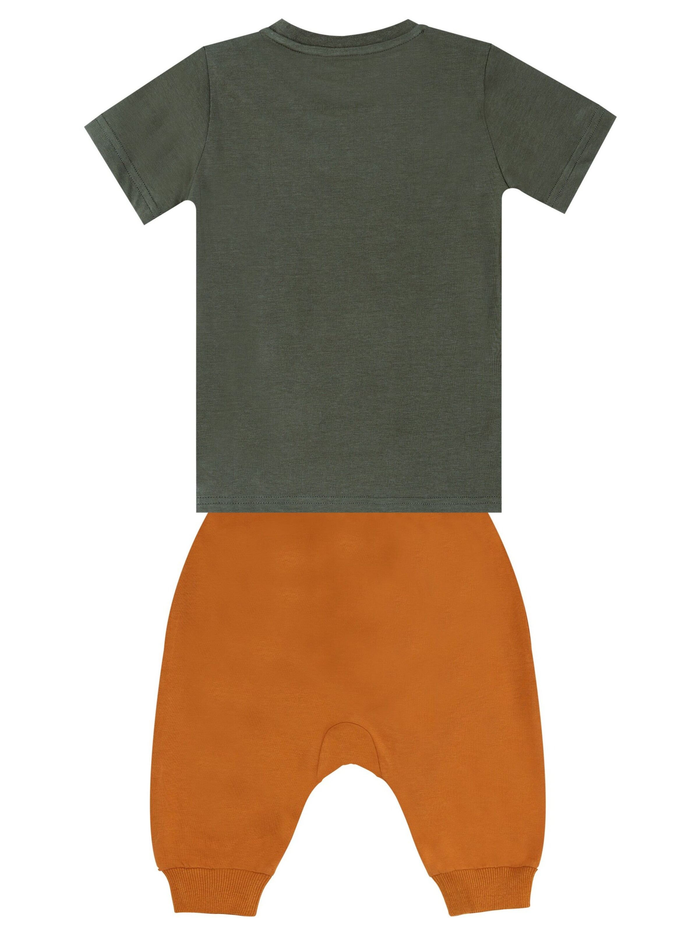 Denokids Tracksuit 'Roar Tiger' in Green