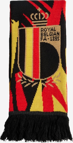 ADIDAS PERFORMANCE Sports Scarf 'Belgien Schal' in Mixed colors: front