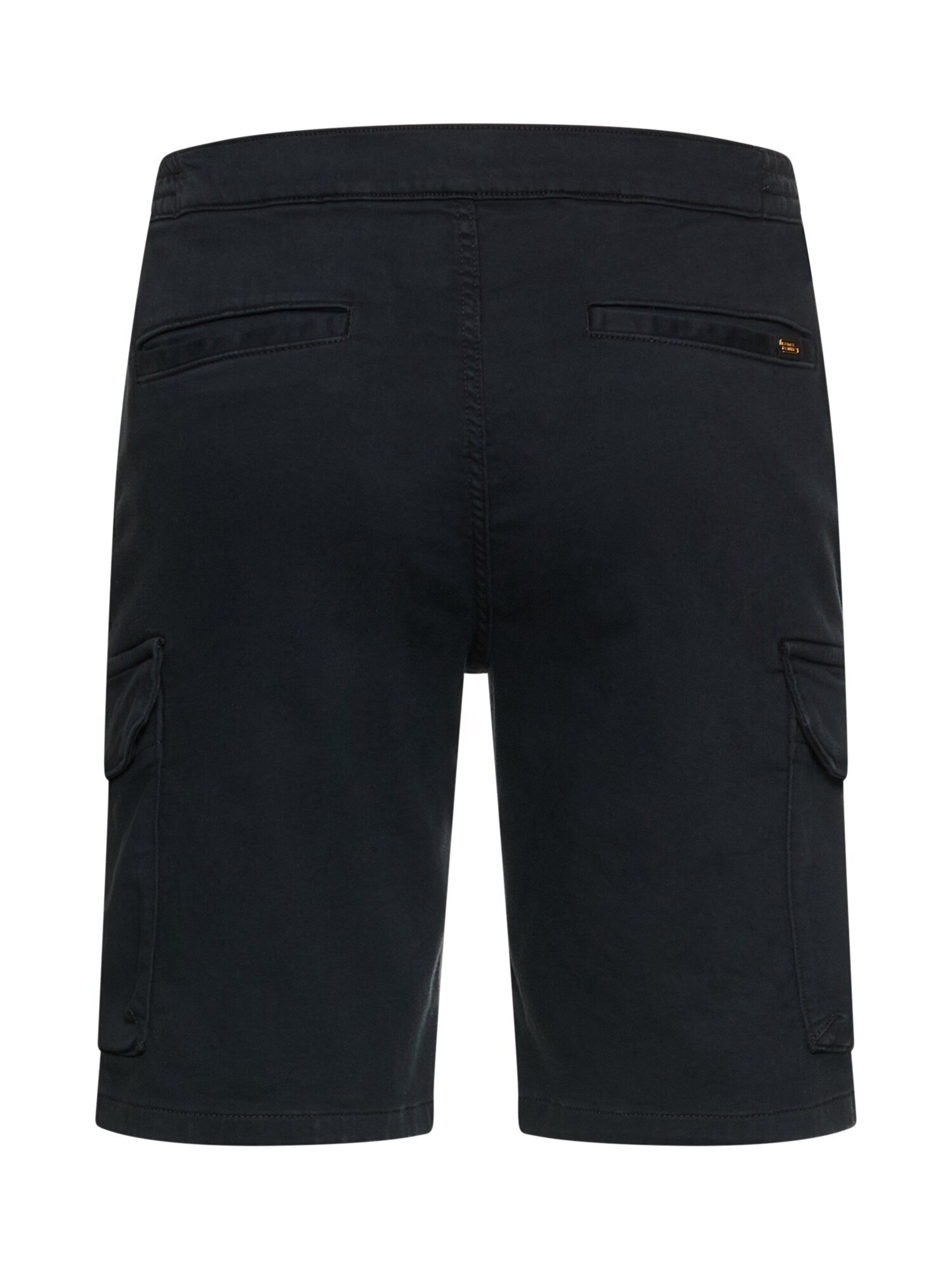 CAMEL ACTIVE Regular Pants in Blue