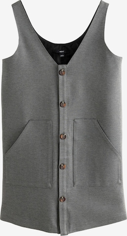 Next Dress in Grey: front