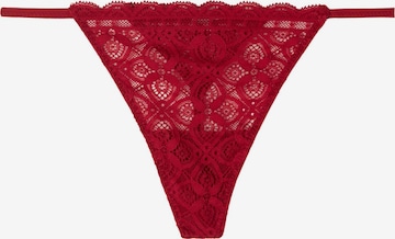 INTIMISSIMI Thong in Red: front