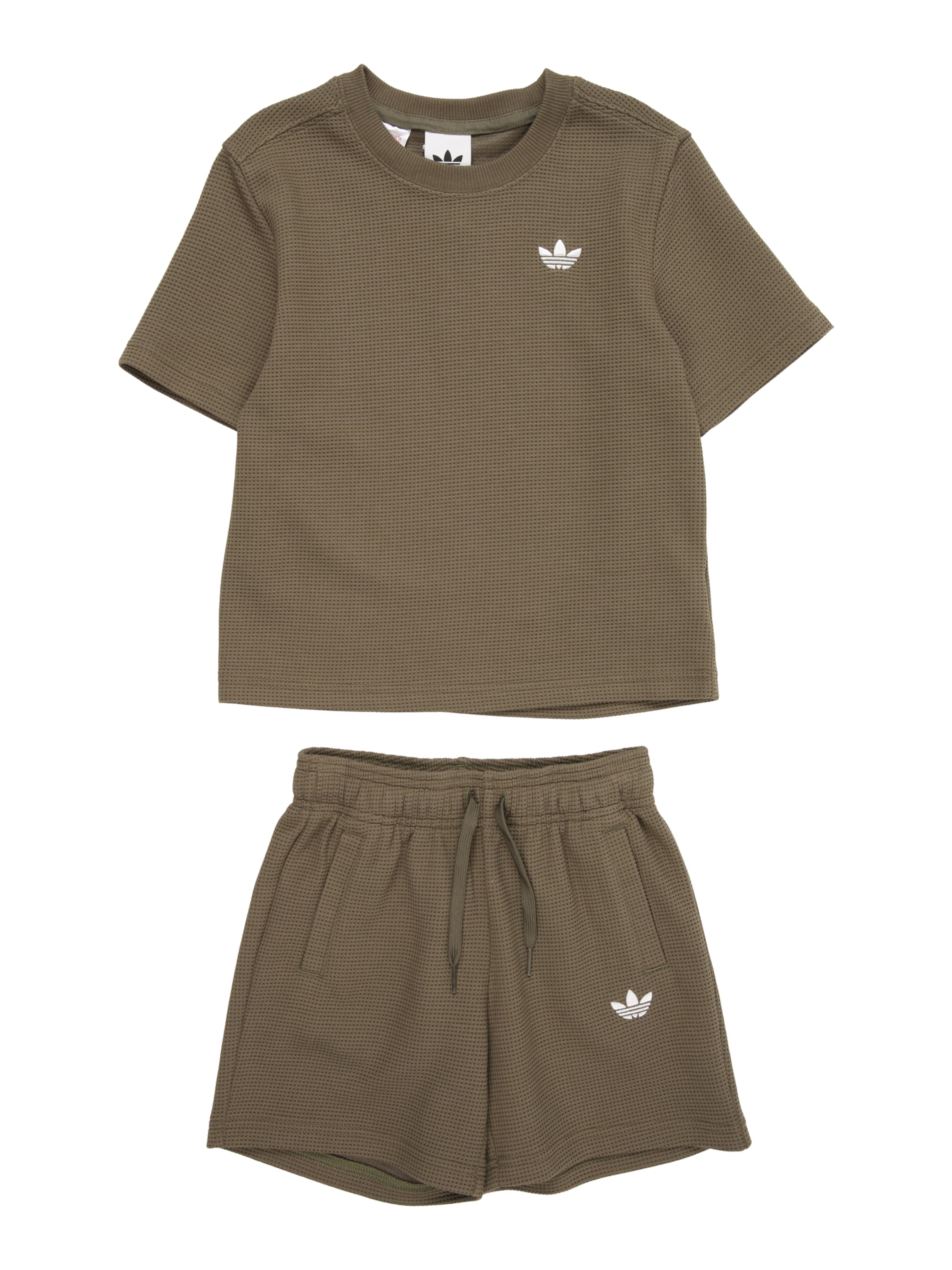 Set ADIDAS ORIGINALS en vert : devant