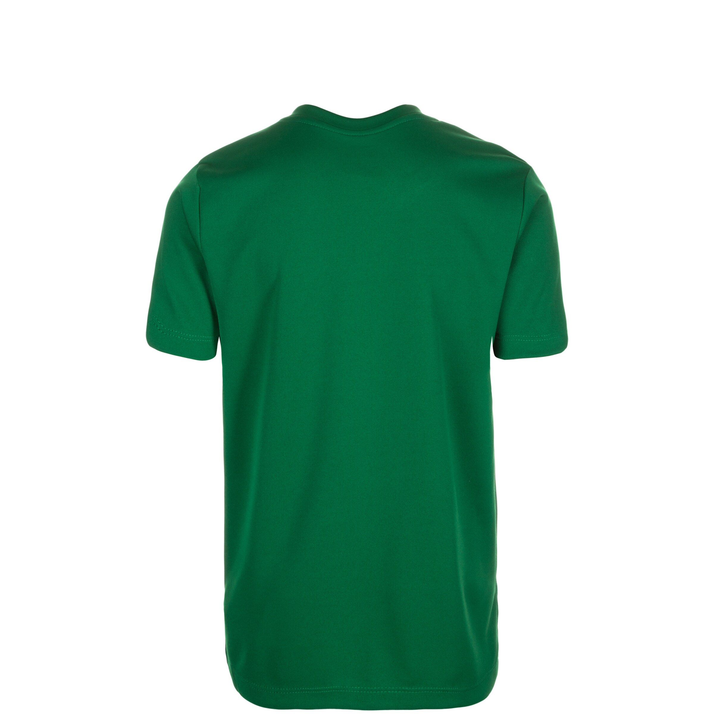 NIKE Funktionsshirt 'Park VI' in Grün